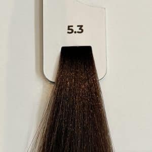 Echosline 5.3 Echoscolor